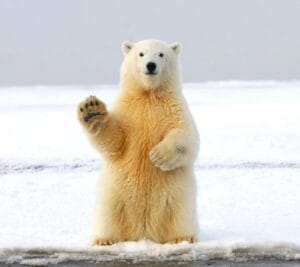 8617c014fcb70a361d8f43ee489b7f89